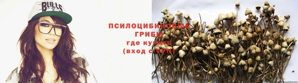 прущие крисы Бугульма