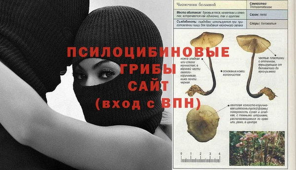 гидропоника Богородск