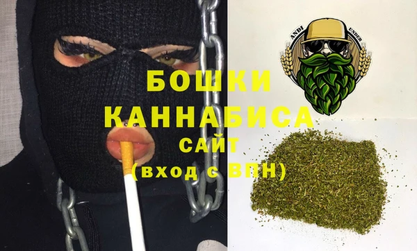 ГАЛЛЮЦИНОГЕННЫЕ ГРИБЫ Бородино