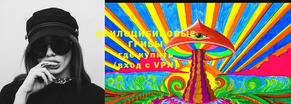 PSILOCYBIN Богданович