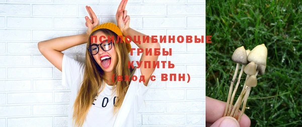 ГАЛЛЮЦИНОГЕННЫЕ ГРИБЫ Бородино