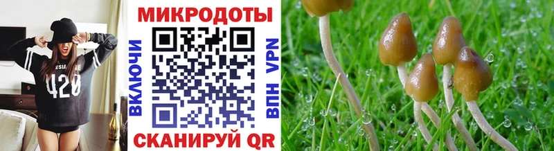 blacksprut маркетплейс Светлый Псилоцибиновые грибы Magic Shrooms